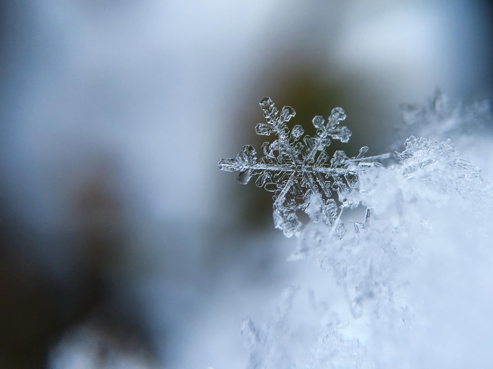 Extreme close up of snowflake